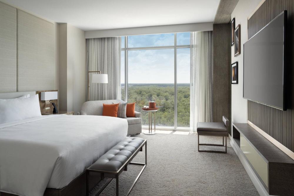 Corner Room, Guest room, 1 King, Sofa bed, City view interior